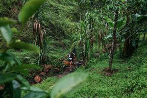 BIB: 
                            <button type="button" onclick="openModal(26200136)" class="btn btn-primary btn-sm float-right btn-popup" data-toggle="modal" data-target=".modal-high-quality">
                        <i class="fas fa-shopping-cart"></i> Add to Cart
                    </button>
                                            <button type="button" onclick="isThisMe(26200136, true)" class="btn btn-success btn-sm float-right btn-popup btn-isme hidden" data-toggle="tooltip" data-placement="bottom" title="นี่คือรูปของคุณใช่ไหม คลิกที่นี่เพื่อเอาเข้าอัลบั้ม">
                        <i class="fas fa-plus"></i> Add to album
                    </button>
                    <button type="button" onclick="isThisMe(26200136, false)" class="btn btn-warning btn-sm float-right btn-popup btn-isnotme hidden">
                        <i class="fas fa-ban"></i> Remove from album
                    </button>